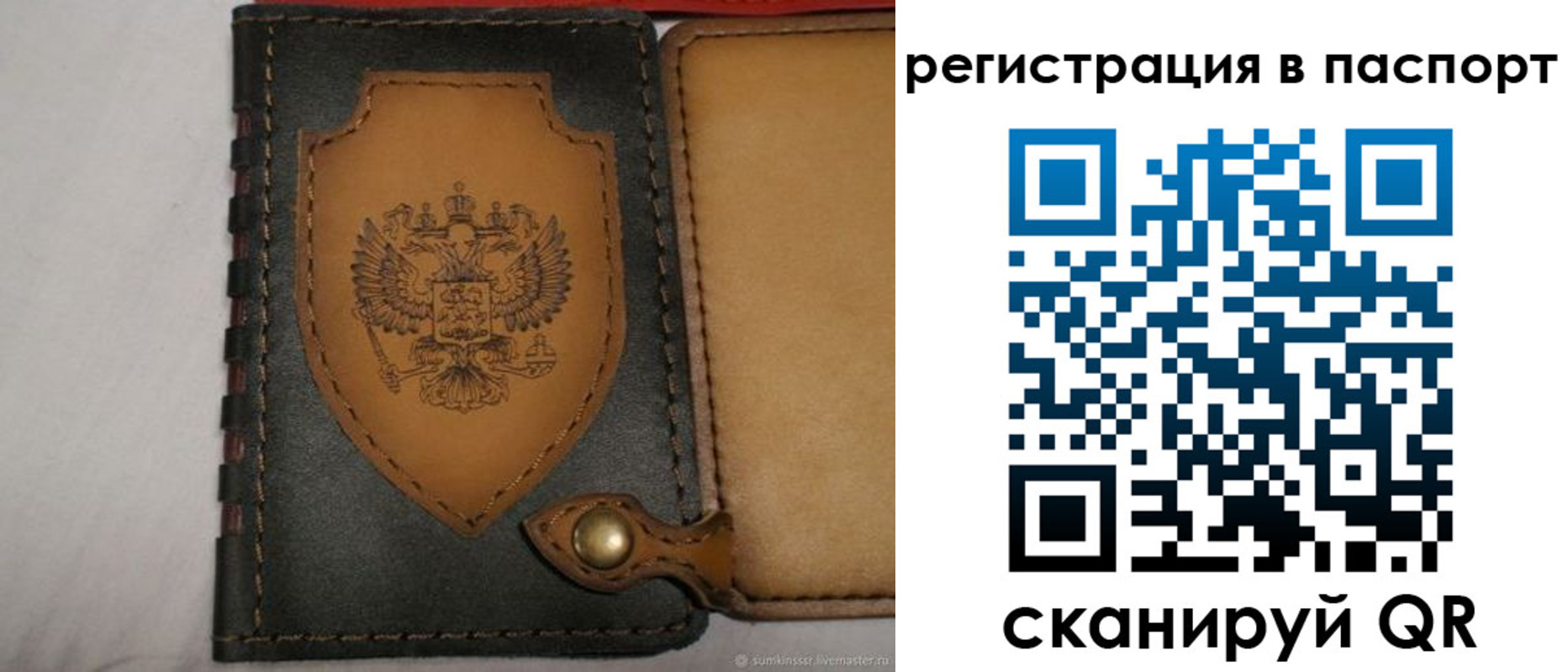 прописка поиск в Камчатском крае